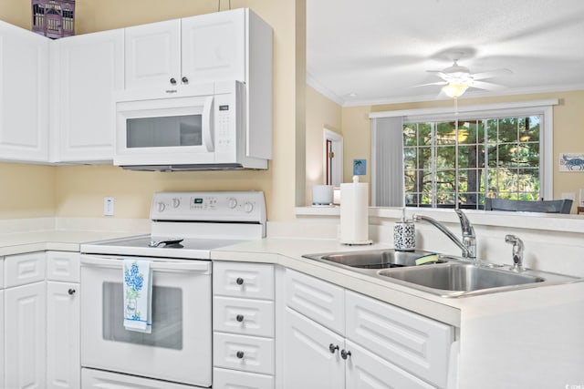 kitchen featuring white cabinetry, white appliances, sink, and ornamental molding