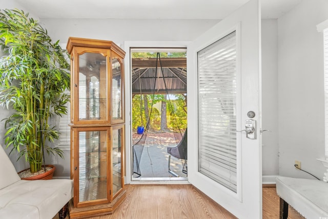 entryway featuring french doors and wood-type flooring