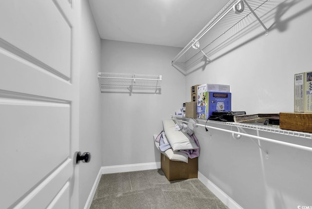 walk in closet with carpet