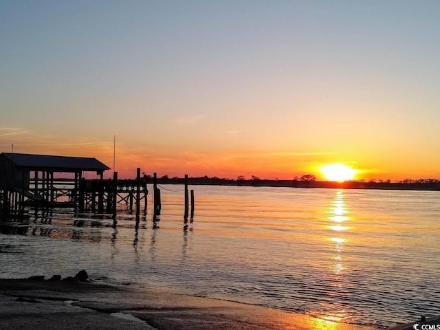 dock area with a water view