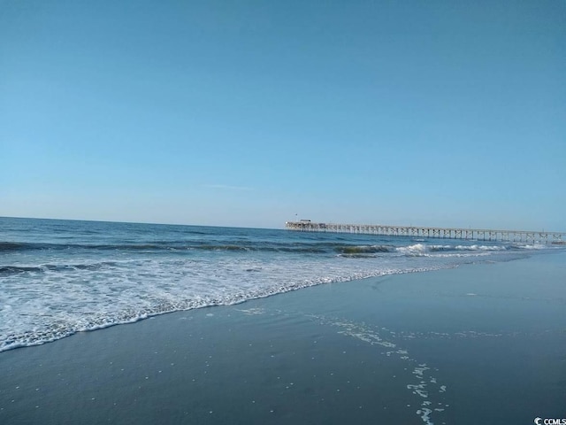 view of water feature featuring a beach view