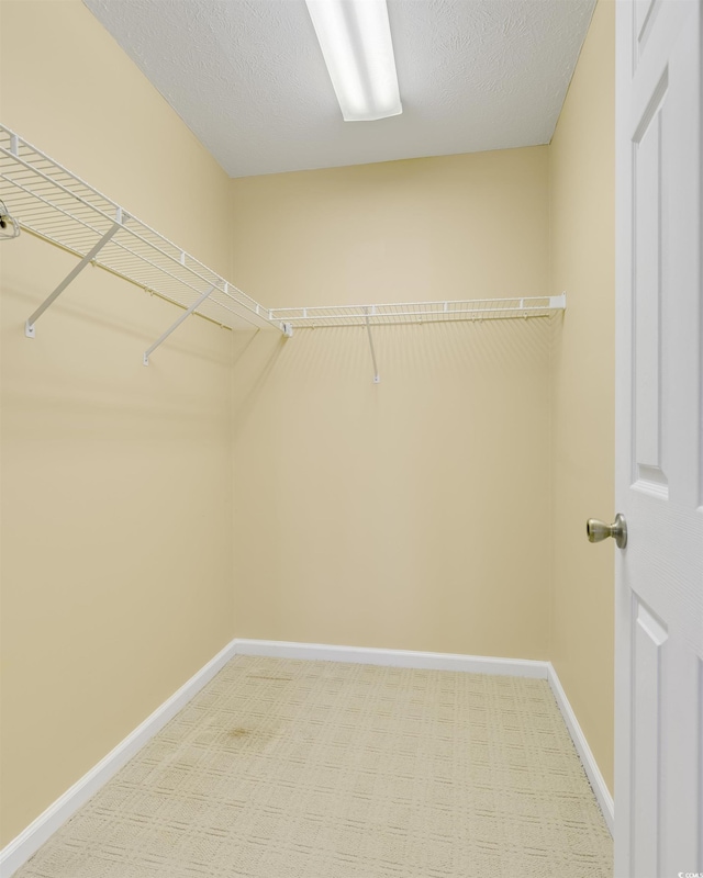 spacious closet with carpet flooring