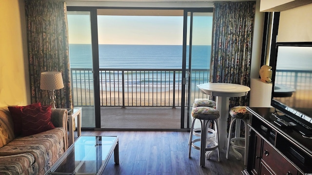 living room with dark hardwood / wood-style flooring and a beach view