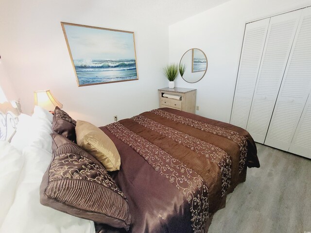 bedroom featuring light colored carpet and a closet