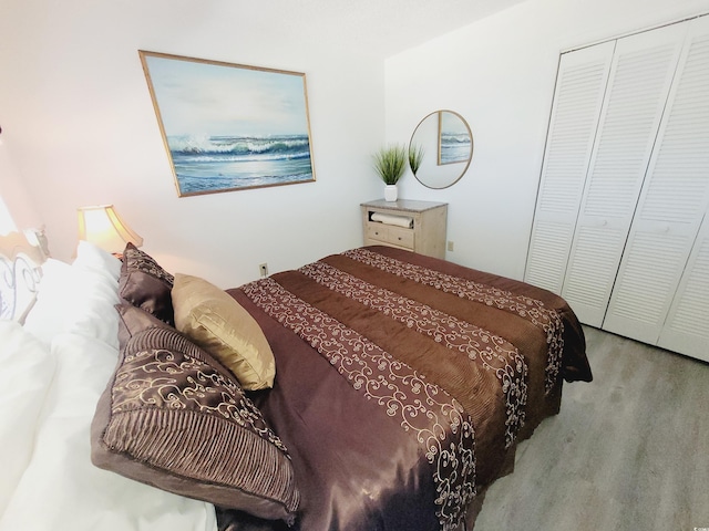4719 S Ocean Blvd Unit 609, North Myrtle Beach, SC 29582 - bedroom featuring a closet and wood finished floors