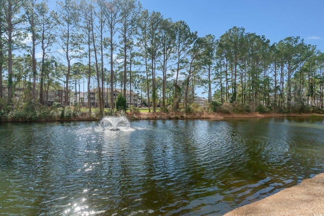 view of water feature