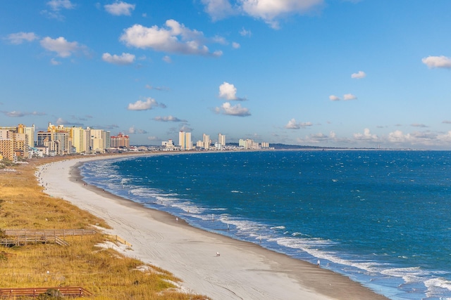 water view featuring a beach view