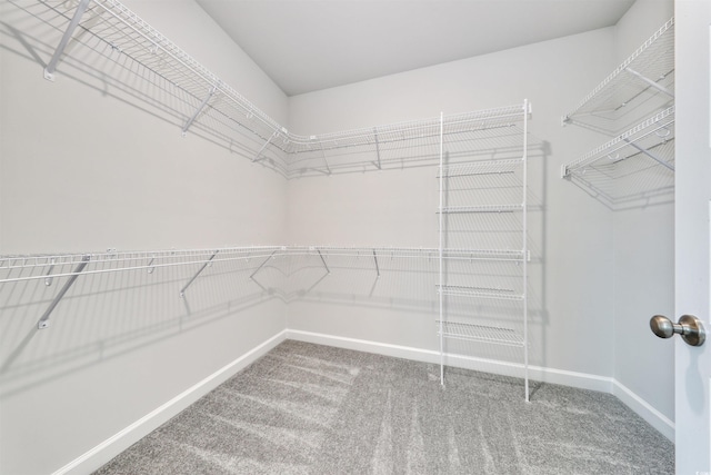 walk in closet with carpet