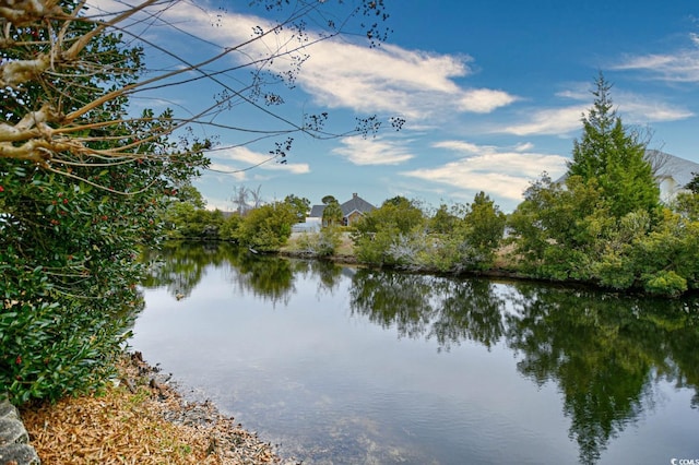 view of water feature