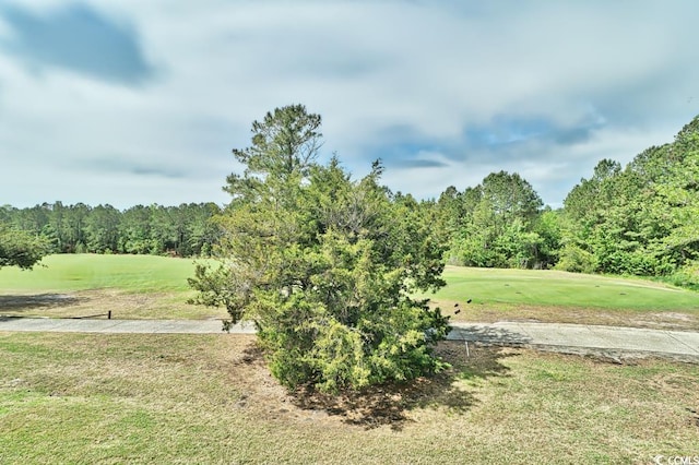 view of home's community with a yard