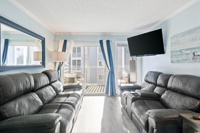 living room featuring light hardwood / wood-style floors, a textured ceiling, and ornamental molding