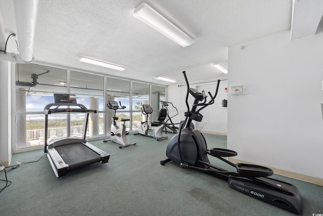 workout area featuring carpet, a textured ceiling, and a wall of windows