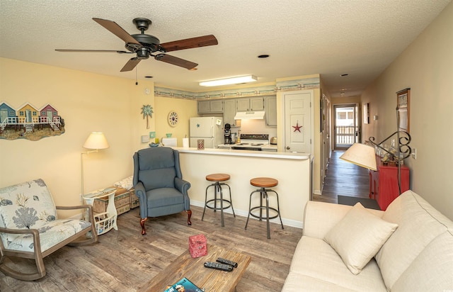 living room with ceiling fan, hardwood / wood-style floors, and a textured ceiling