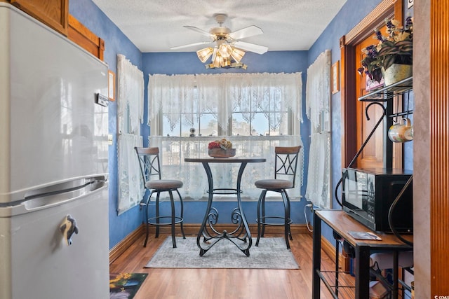 dining room with ceiling fan, wood-type flooring, and a textured ceiling