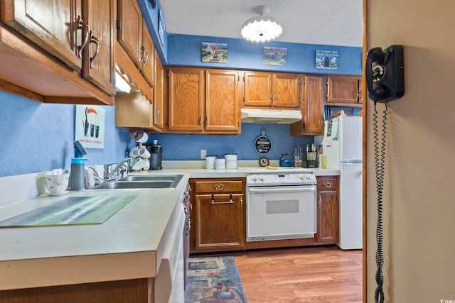 702 Plantation Dr, Surfside Beach, SC 29575 - kitchen with white appliances, under cabinet range hood, a sink, brown cabinetry, and light wood-style flooring