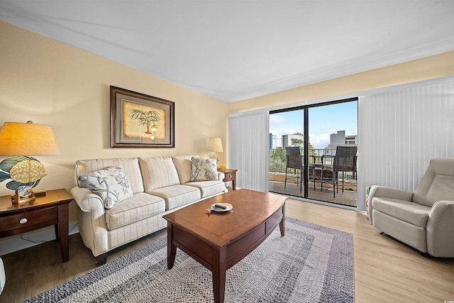 living room with light hardwood / wood-style flooring