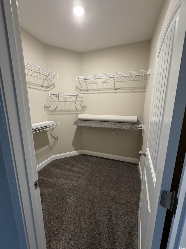 walk in closet with dark colored carpet