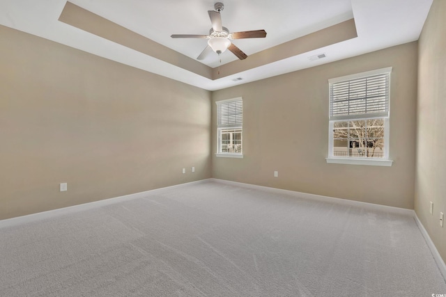 spare room featuring a wealth of natural light and a tray ceiling