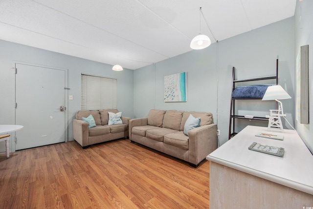 living room with light hardwood / wood-style floors