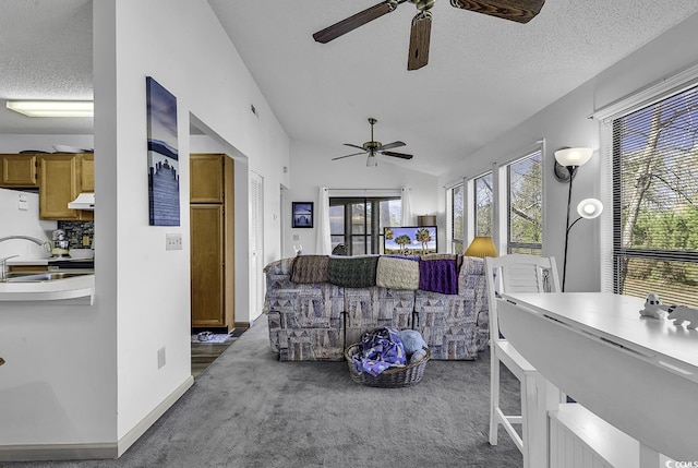 living room with a textured ceiling, sink, carpet, and vaulted ceiling