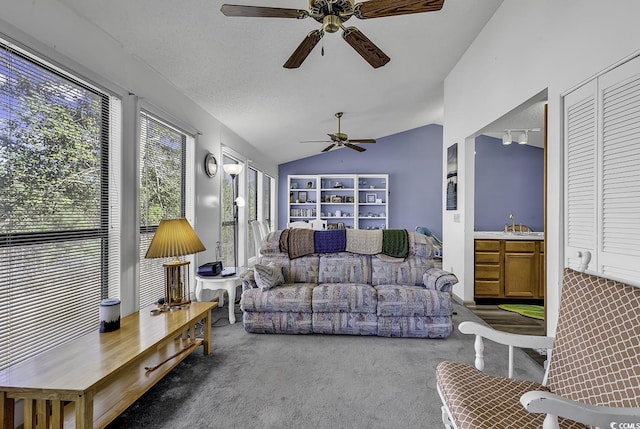 living room featuring ceiling fan, sink, carpet floors, a textured ceiling, and vaulted ceiling