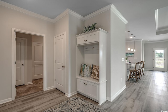 interior space featuring ornamental molding and light hardwood / wood-style floors