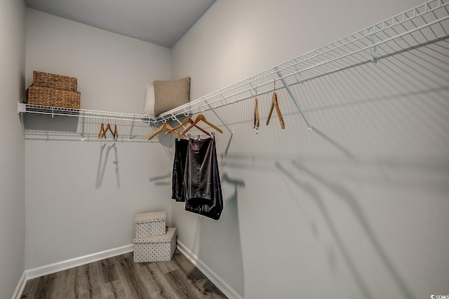 spacious closet with hardwood / wood-style flooring