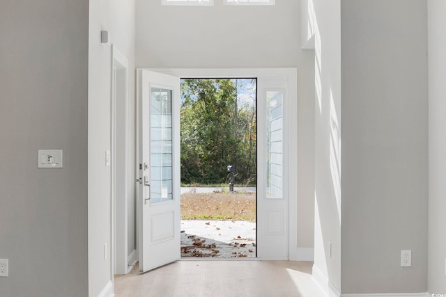 entrance foyer featuring wood-type flooring