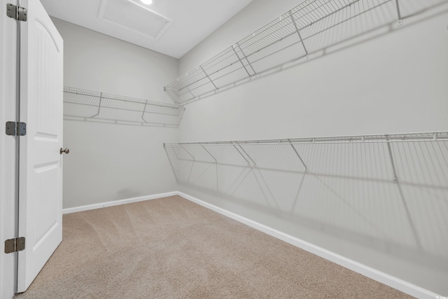 spacious closet with light carpet and attic access