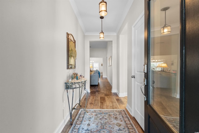 hall with crown molding and dark hardwood / wood-style floors