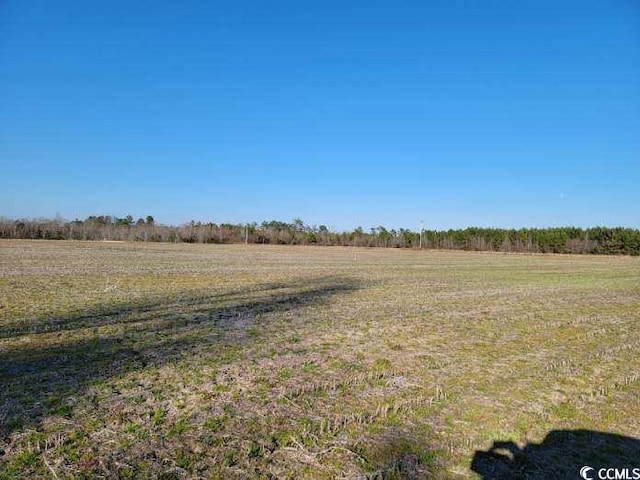 view of yard featuring a rural view