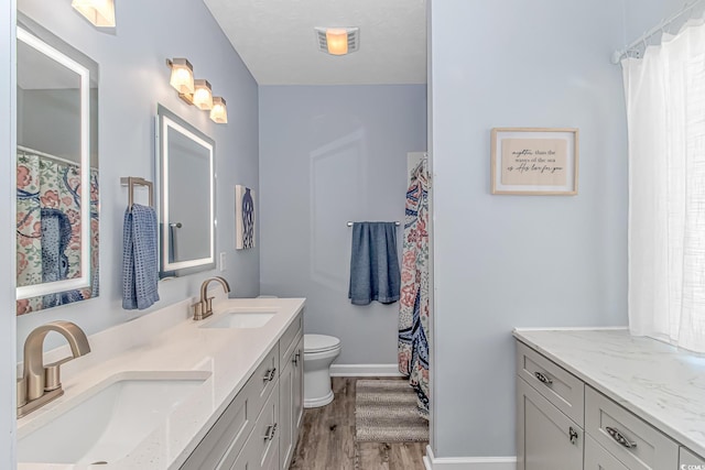 bathroom with wood-type flooring, vanity, and toilet