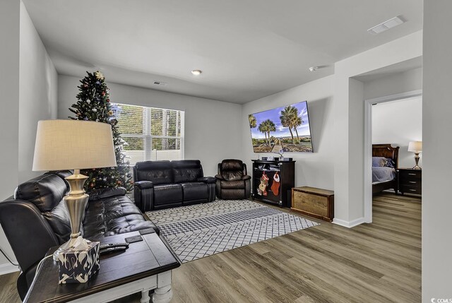 living room with wood-type flooring