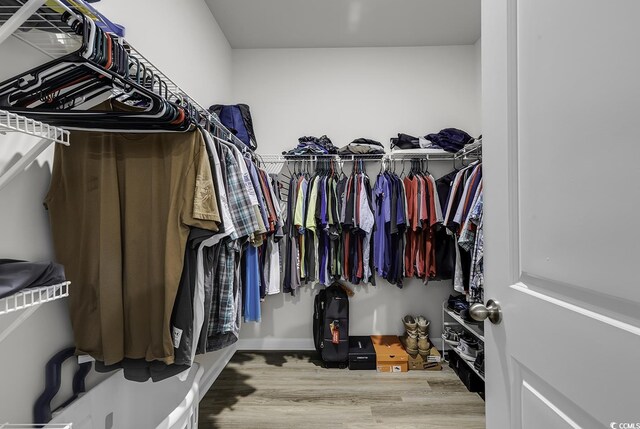 walk in closet with hardwood / wood-style flooring