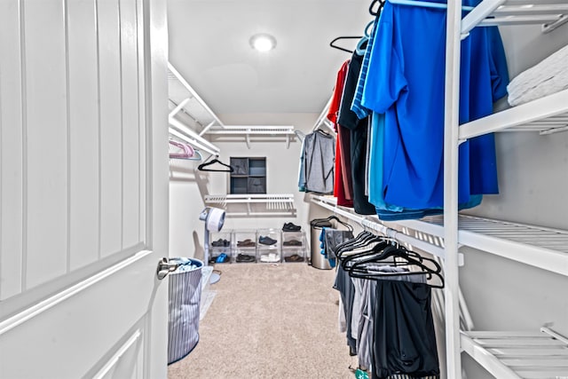 spacious closet featuring carpet floors