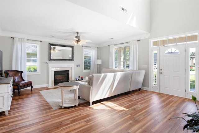 living room with ceiling fan, light wood-type flooring, and crown molding