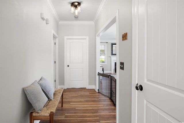 corridor featuring wood-type flooring and ornamental molding