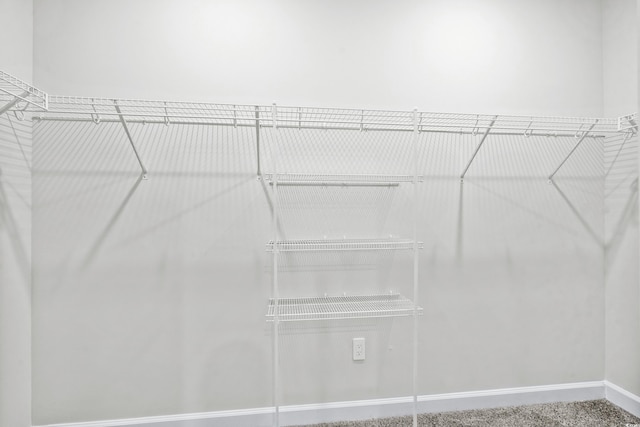 2039 Copper Creek Loop, Longs, SC 29568 - view of spacious closet