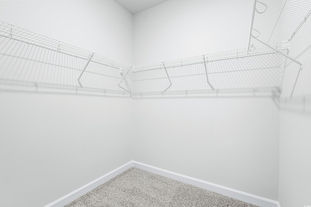 spacious closet featuring carpet flooring