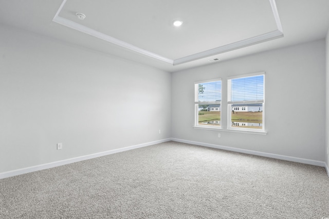 carpeted empty room featuring a raised ceiling