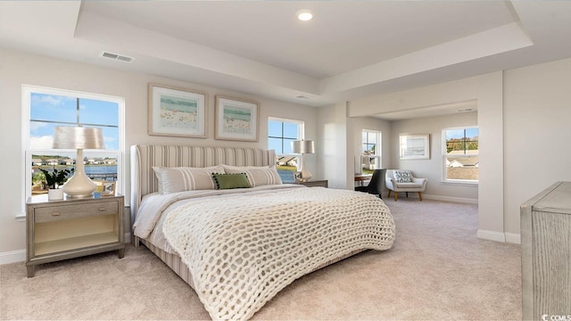 carpeted bedroom with multiple windows and a tray ceiling