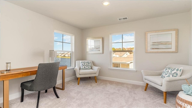 office with a water view, light colored carpet, and a healthy amount of sunlight