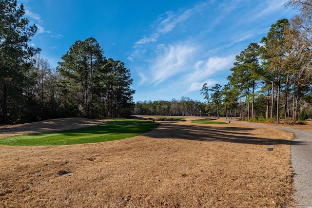 view of property's community featuring a yard