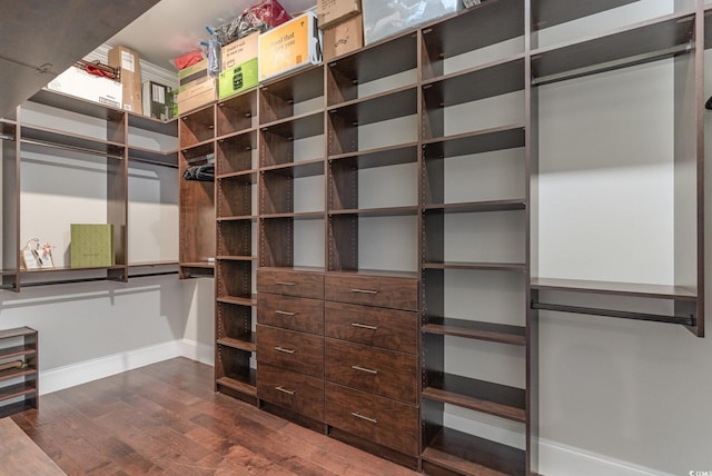 walk in closet with dark hardwood / wood-style flooring