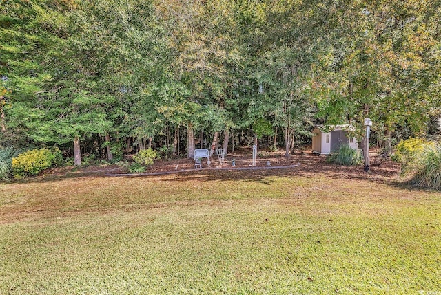 view of yard featuring a shed