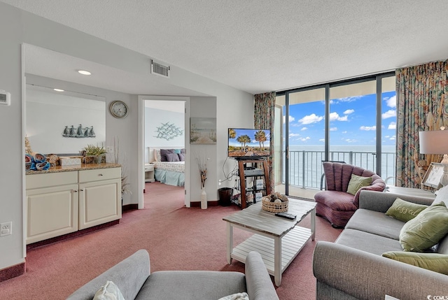 carpeted living room with a wall of windows and a textured ceiling