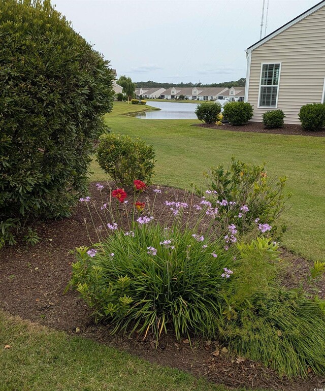 135 Parmelee Dr Unit D, Murrells Inlet, SC 29576 - view of green lawn featuring a water view