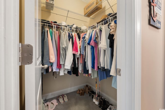 view of walk in closet