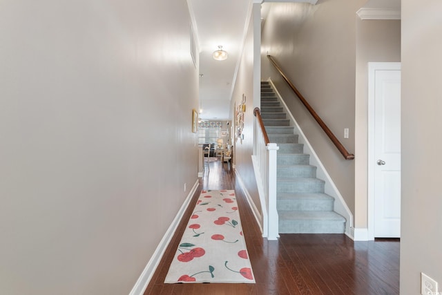 135 Parmelee Dr Unit D, Murrells Inlet, SC 29576 - stairway featuring hardwood / wood-style flooring, baseboards, and ornamental molding