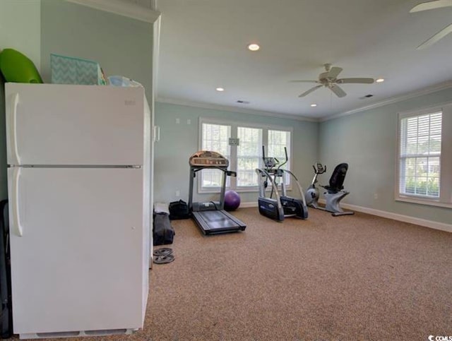 workout room with carpet flooring, ceiling fan, a healthy amount of sunlight, and crown molding